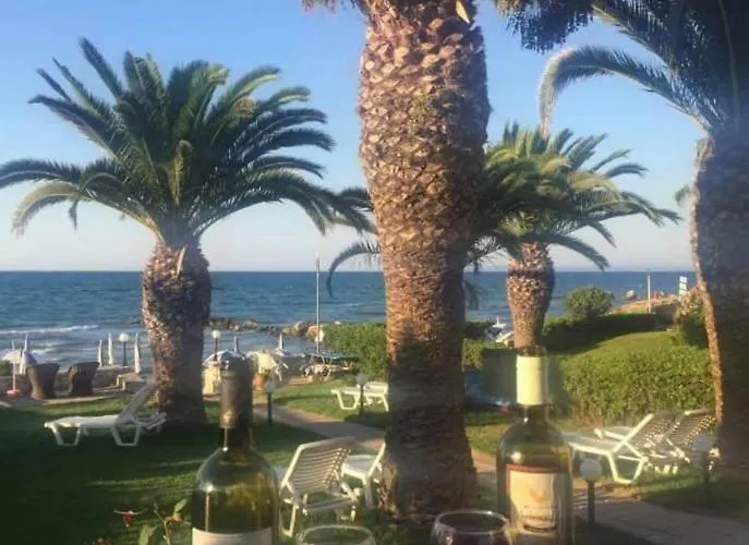 Roula Kotsonis Superior